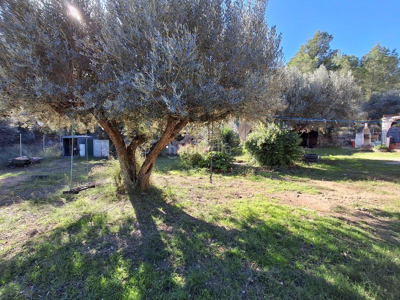 Foto af66e93c-ec81-4b84-b6d7-0e70923141c1. Masia a solanes a Móra d´Ebre