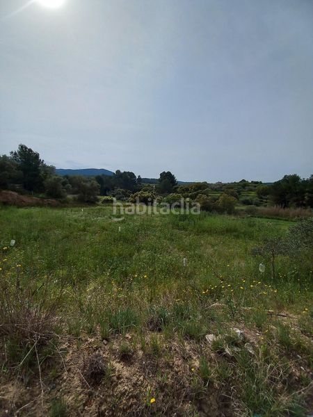 Foto 057cc789-6444-4905-ba1a-8bd2cdd501ea. Finca rústica a Ginestar