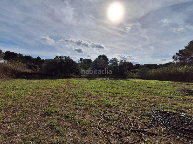 Foto 0e8df017-f7f7-4f12-8134-0b07b0958ad4. Finca rústica a Ginestar