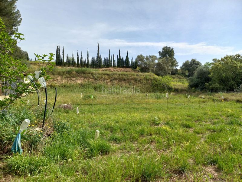 Foto 2c5125ca-f2b3-4d9b-9c14-0c1936605161. Finca rústica a Ginestar