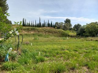 Finca rústica a Ginestar