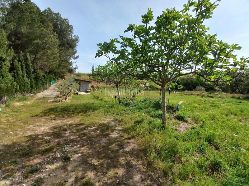 Foto 41c959d0-c32c-4d51-b739-4354326ea328. Finca rústica a Ginestar