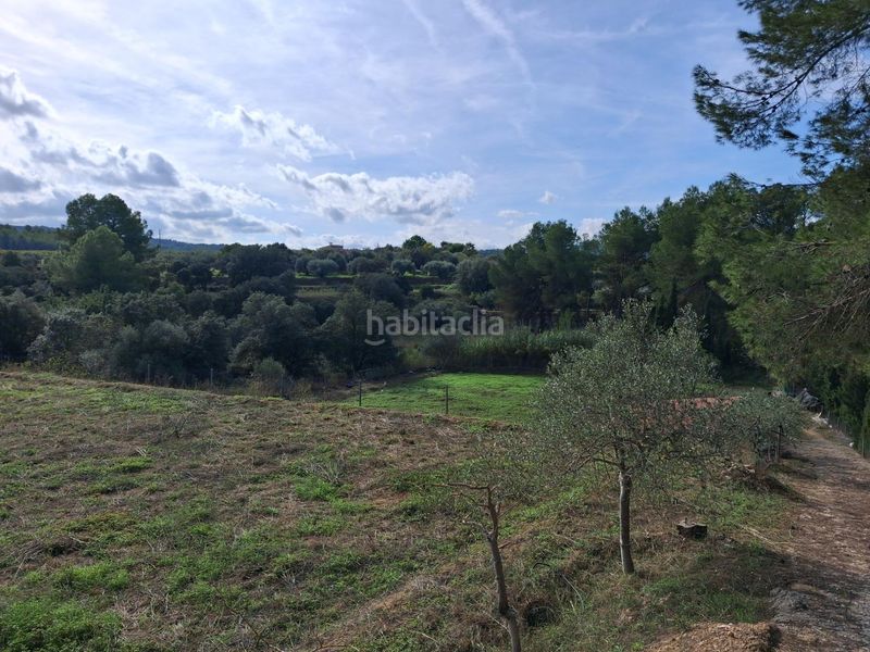 Foto 45f24b3a-a6a5-4fa3-b839-700c060c6b48. Finca rústica a Ginestar