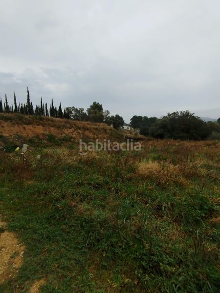 Foto 46c76e2d-37be-48ec-b8ab-8ef867ff2a29. Finca rústica a Ginestar