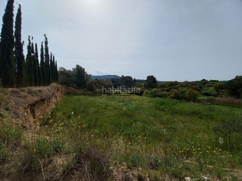 Foto 554ac8b0-d0c5-4426-89b1-beee204d6ebd. Finca rústica a Ginestar