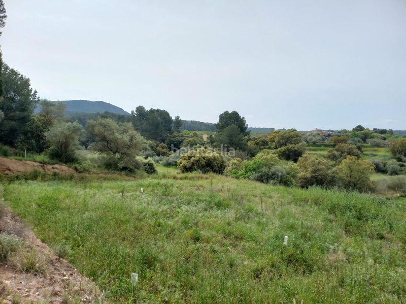 Foto 578ddf57-e2f2-475f-8662-4d6b7d4a7c9b. Finca rústica a Ginestar