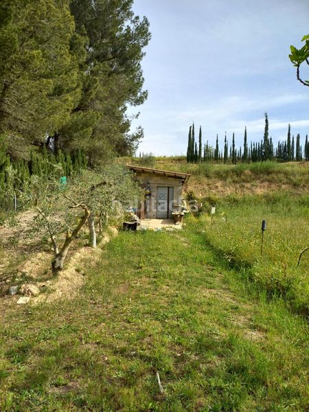 Foto 67a74e22-c49f-4ae5-bc1e-270359253053. Finca rústica a Ginestar