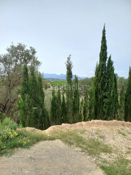 Foto 8663549b-b953-4d1a-af8d-778864bc5289. Finca rústica a Ginestar