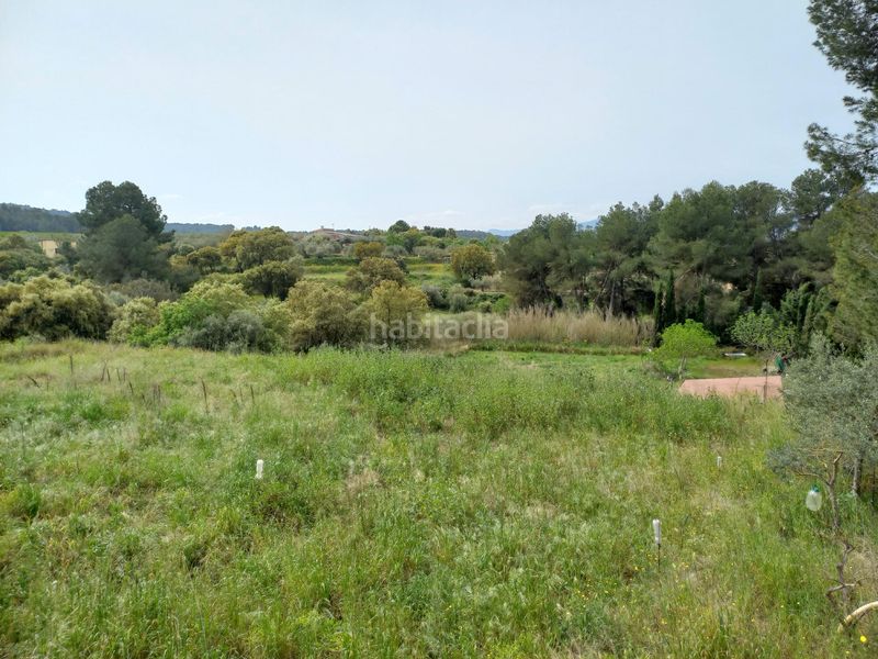 Foto 872b2707-6647-4acc-8351-d4085a74b3c5. Finca rústica a Ginestar
