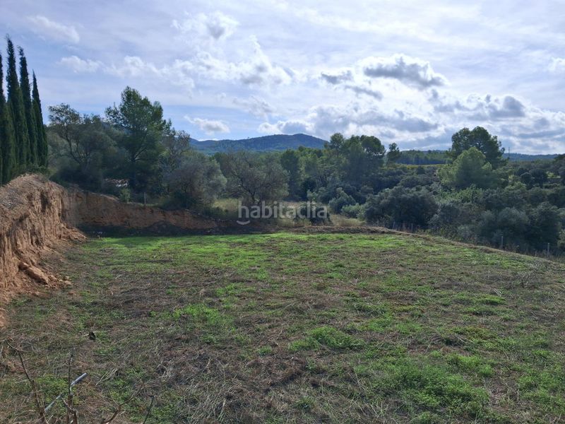Foto 8ce21a9b-8e82-4aa9-af85-dabeab1a3e2f. Finca rústica a Ginestar