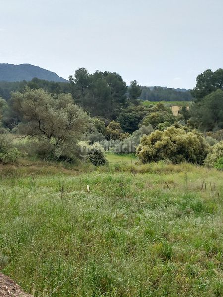 Foto 92f62d02-a3fb-4616-8f1a-8e36ac482214. Finca rústica a Ginestar