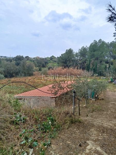 Foto 976df00f-5c93-4837-ab53-f34da154f982. Finca rústica a Ginestar