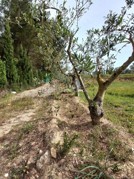 Foto b3945f24-f272-43f8-87ee-c57641f50da8. Finca rústica a Ginestar
