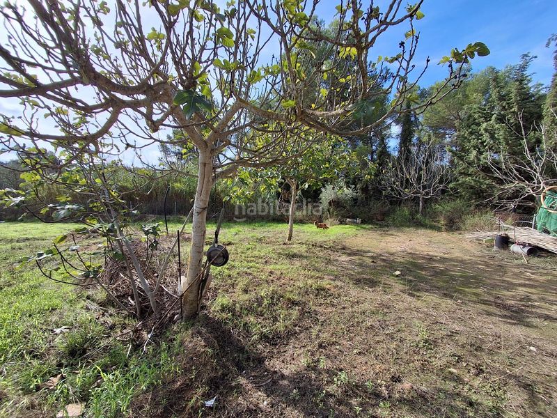 Foto b7537f38-8437-4d26-995b-b7cfad4dac61. Finca rústica a Ginestar