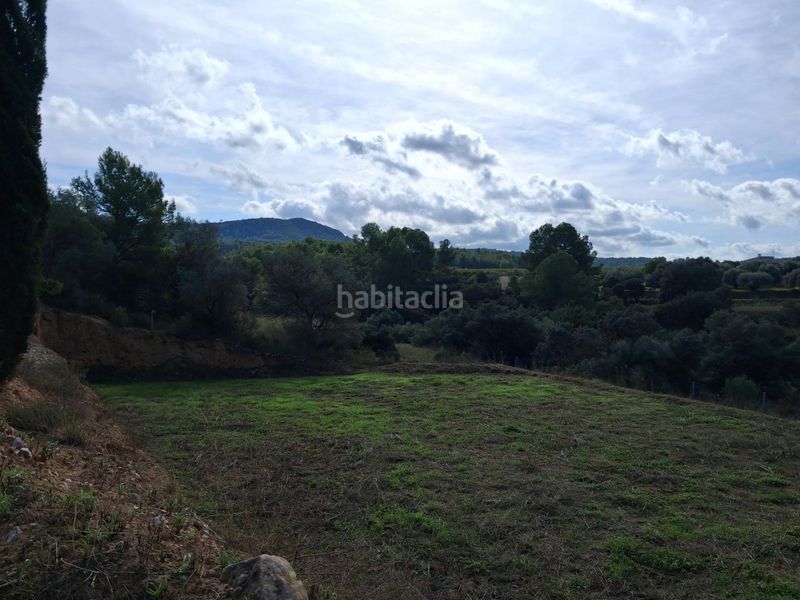 Foto ce38bc8c-aea6-4b82-b752-4978cb8334fb. Finca rústica a Ginestar