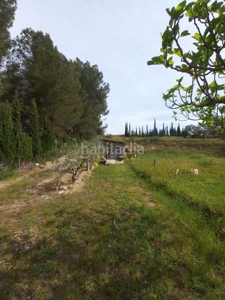 Foto cf2823a5-dd0a-404f-8daf-35511c8b2332. Finca rústica a Ginestar