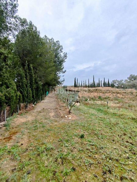 Foto d9c488ce-84ad-498a-bf97-2de128dd9b23. Finca rústica a Ginestar