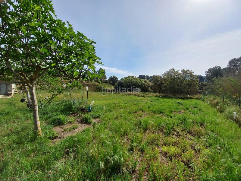 Foto dd4938f7-9955-4039-880c-f79179961050. Finca rústica a Ginestar