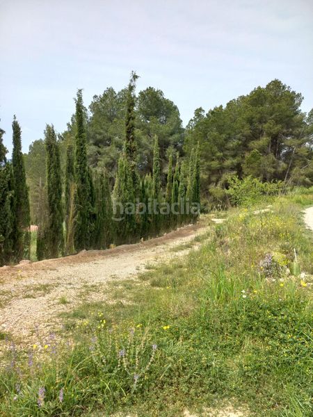 Foto e21e954d-44a4-4d78-ab56-14fb6960bd16. Finca rústica a Ginestar