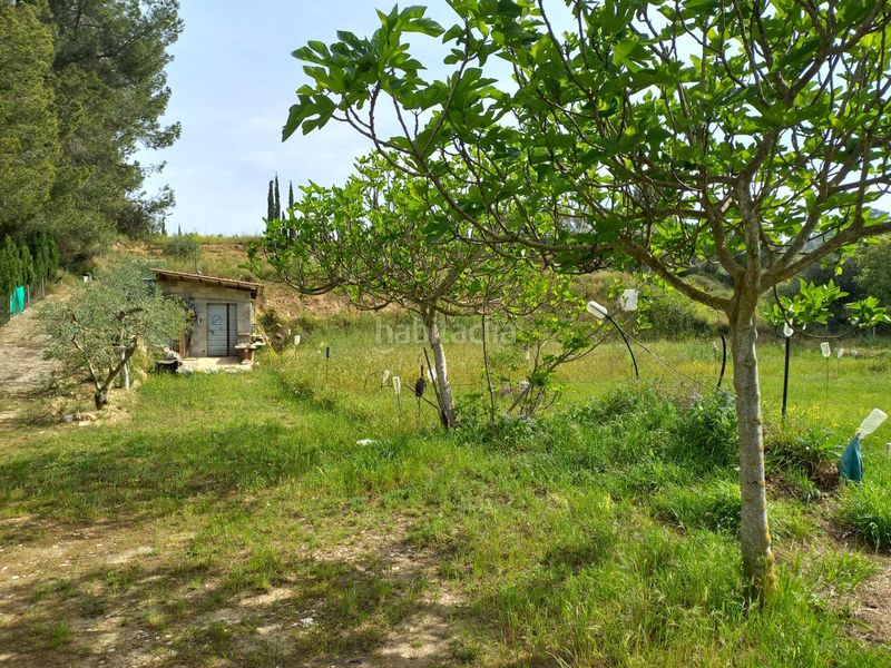 Foto e264baff-f09b-44eb-8e71-18b3fb51db2b. Finca rústica a Ginestar