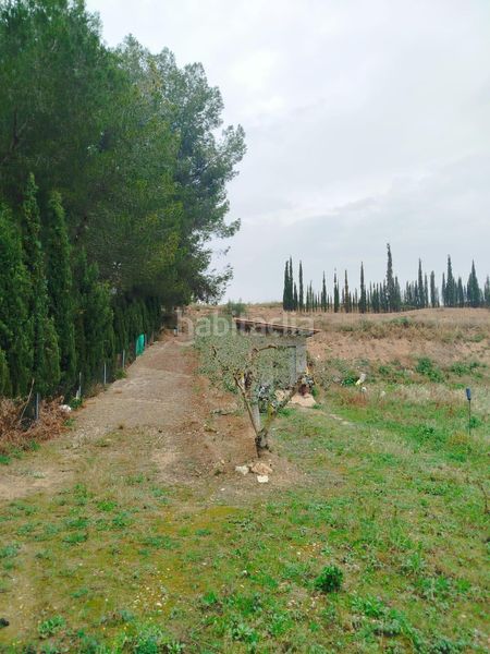 Foto e630fdfb-e0d9-490b-8ea0-8510c47a5e53. Finca rústica a Ginestar