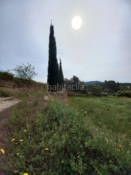 Foto ea162fca-aaf5-4682-9e81-ddce57381fd0. Finca rústica a Ginestar