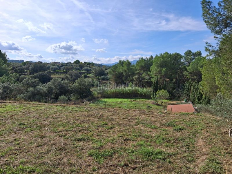 Foto ecc9be31-cc20-4d51-81eb-967e4364c0e7. Finca rústica a Ginestar