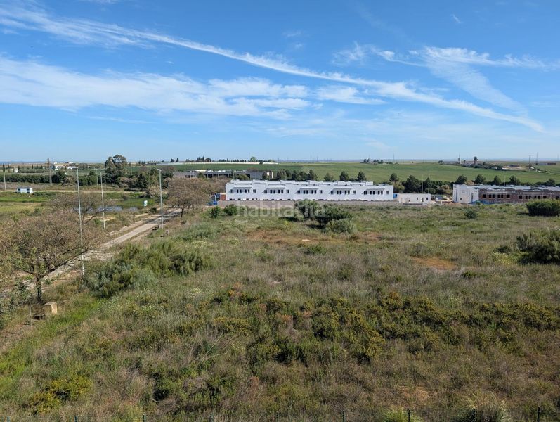 Foto 4e6618f3-34bb-4688-844f-b8118d9cf505. Pis a La Hispanidad - Verdeluz Huelva