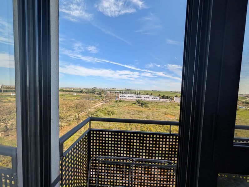 Foto d7507c26-0c66-404c-9115-c32c1b80cb35. Pis a La Hispanidad - Verdeluz Huelva