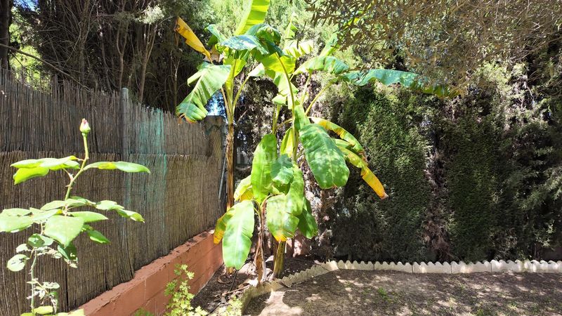 Foto 6115b51d-0e22-411b-a2e9-6334697fb9a6. Xalet amb aparcament a El Zaudín - Club de Golf Bormujos