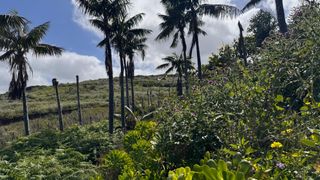 Residential Plot  Calle calvario. Terreno urbanizable en venta con finca y varias construciones
