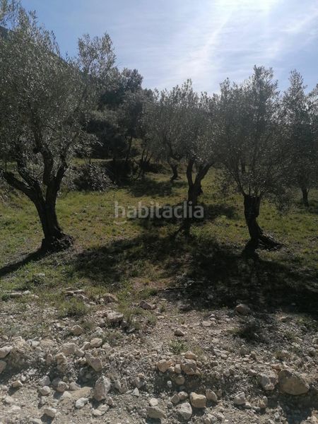 Foto 1076e553-28ce-4b93-b597-0e11cf899819. Finca rústica a Quatretondeta