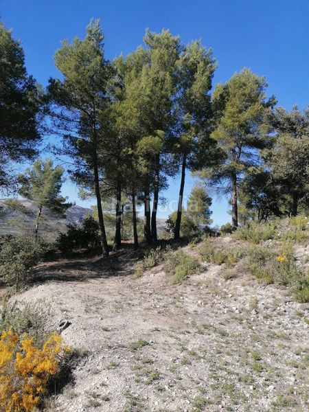 Foto 22d48862-d58f-489b-ac7b-6fe258739635. Finca rústica a Quatretondeta