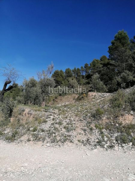 Foto 24a9c074-5b12-471e-bc65-9ffc7cb8702c. Finca rústica a Quatretondeta