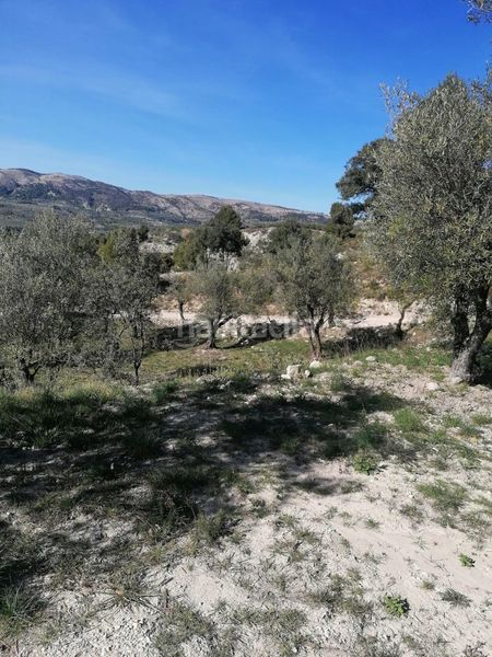 Foto 3f12aeee-8b2e-485f-bd58-47fc3fadc463. Finca rústica a Quatretondeta