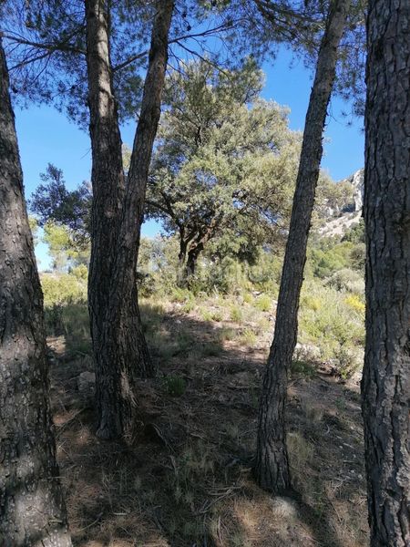 Foto 41d5a3ae-eeaa-4ae3-841f-9e2219b3d931. Finca rústica a Quatretondeta