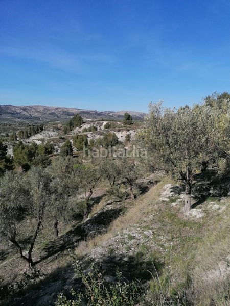 Foto 435e84ec-ac0b-4c31-8478-4fe1ae08ed7f. Finca rústica a Quatretondeta