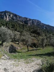 Landgut  Partida foeta de carrascal. Terreno rústico a una hora de alicante