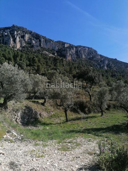 Foto 48eceba9-88a8-4445-b242-5d64172985ad. Finca rústica a Quatretondeta