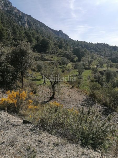 Foto 4f3fef17-30be-4f9a-8bfe-1964391d4163. Finca rústica a Quatretondeta