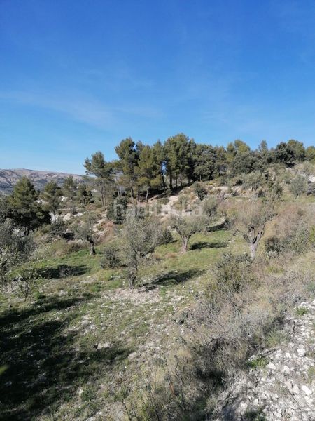 Foto 524487f8-6249-4e56-8aa1-664f92f59a20. Finca rústica a Quatretondeta