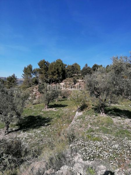 Foto 58b465bb-0a6d-4df2-82c3-dc83344e10c6. Finca rústica a Quatretondeta