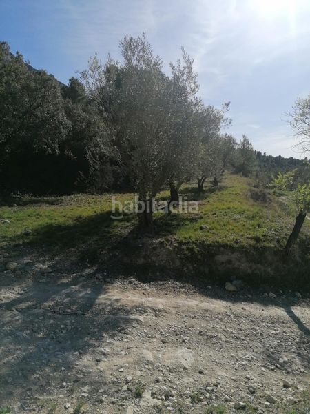 Foto 71bc84a5-32f8-4c40-a673-4f6aa030c63d. Finca rústica a Quatretondeta