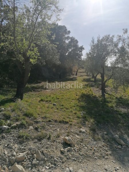 Foto 7eb3a5d4-e919-4620-8708-827f1c9a6de9. Finca rústica a Quatretondeta