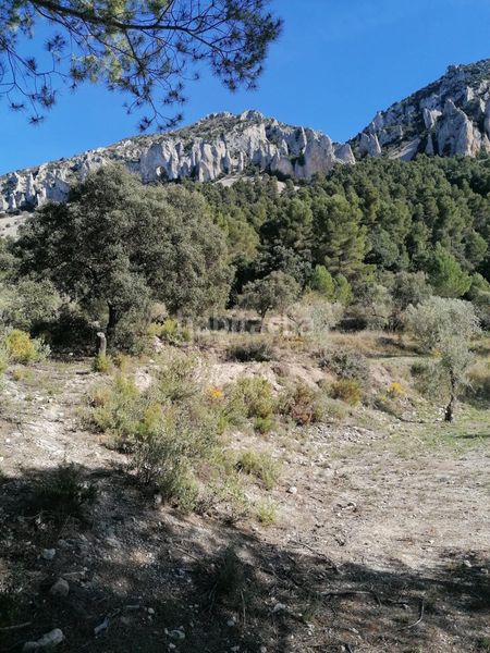 Foto 7faf2f4a-c3b5-48a7-a63c-19255aea7ea2. Finca rústica a Quatretondeta