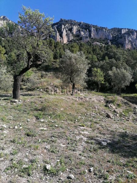 Foto 801ab0f8-9828-49dc-a4e7-6e69718338ae. Finca rústica a Quatretondeta