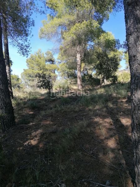 Foto 9bc31010-4892-4e88-9bd8-01cf0c634200. Finca rústica a Quatretondeta