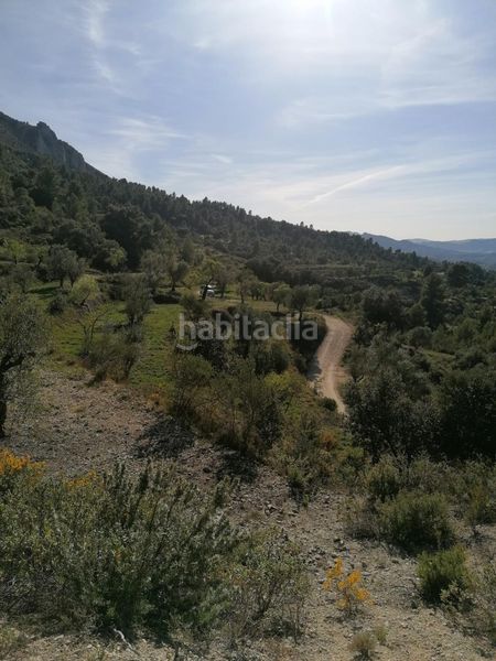 Foto ada21c68-ae00-499b-bf6c-f9aaf1c53c82. Finca rústica a Quatretondeta