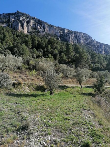 Foto aef1b9bd-0c4c-4cfc-befe-b525669ac9af. Finca rústica a Quatretondeta