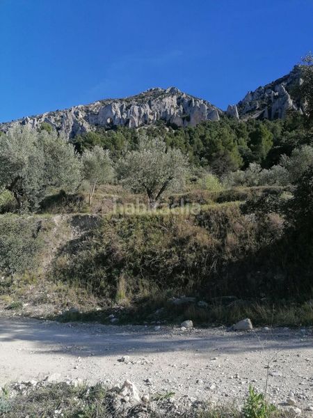 Foto d31456a6-a0f7-4d7c-998e-cef9e3de980e. Finca rústica a Quatretondeta